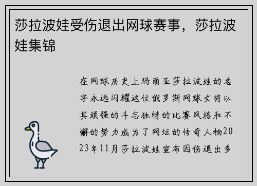 莎拉波娃受伤退出网球赛事，莎拉波娃集锦